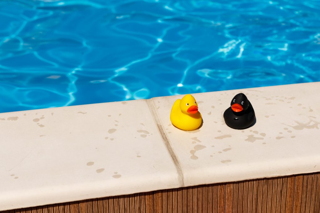 2 canards en plastique au bord d'une piscine